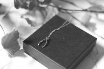 Make a Wish – The Astrid and Miyu Wishbone Necklace from JewelStreet image 0
